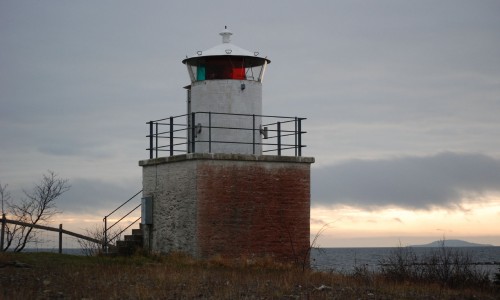 Tokenäsudde. Foto Mats Neander.