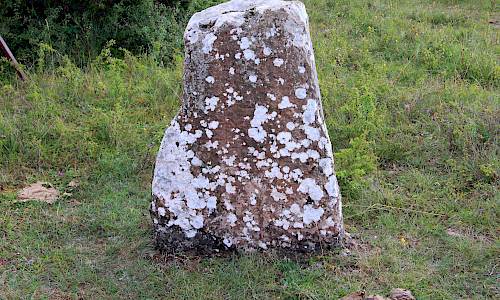 Foto: Stefan Svenaeus 2013
