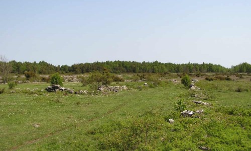 Foto: Stefan Svenaeus