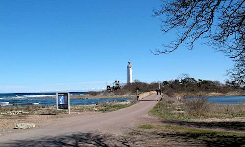 Foto: Stefan Svenaeus