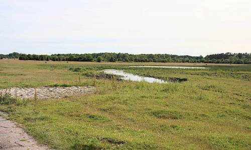 Foto:Stefan Svenaeus 2014