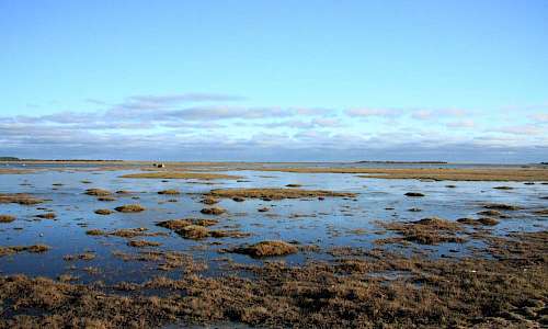 Foto: Stefan Svenaeus