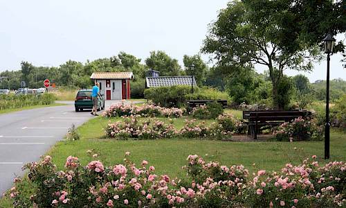 Foto: Stefan Svenaeus