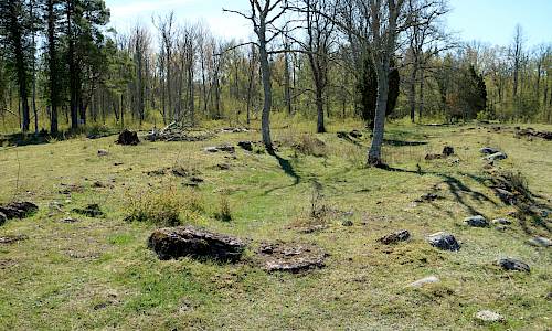 Foto: Stefan Svenaeus 2017