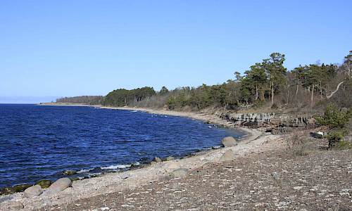 Foto: Stefan Svenaeus 2015