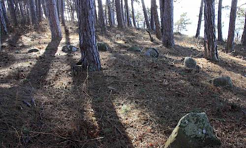 Foto: Stefan Svenaeus 2015
