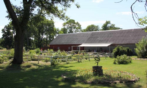 Foto: Stefan Svenaeus