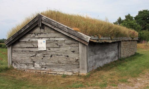 Foto: Stefan Svenaeus
