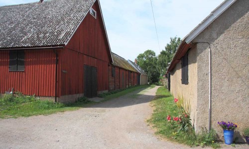 Foto: Stefan Svenaeus