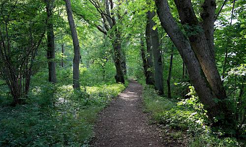Foto: Stefan Svenaeus 2013