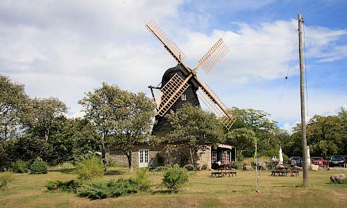 Foto: Stefan Svenaeus 2013