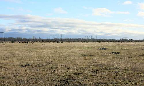 Foto: Stefan Svenaeus