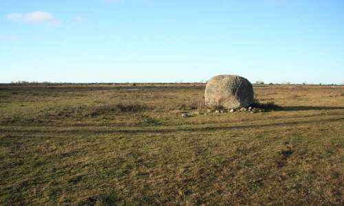 Foto: Stefan Svenaeus