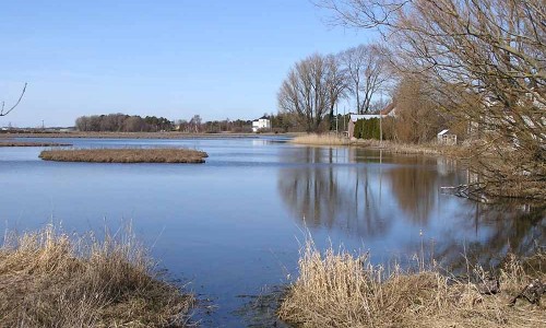 Foto: Stefan Svenaeus