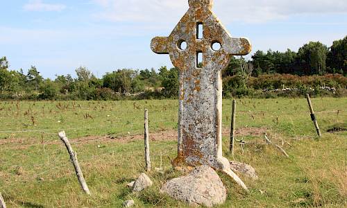 Foto: Stefan Svenaeus 2013