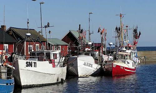 Foto: Stefan Svenaeus