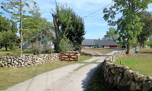 Foto: Stefan Svenaeus