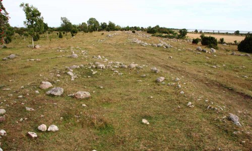 Foto: Stefan Svenaeus