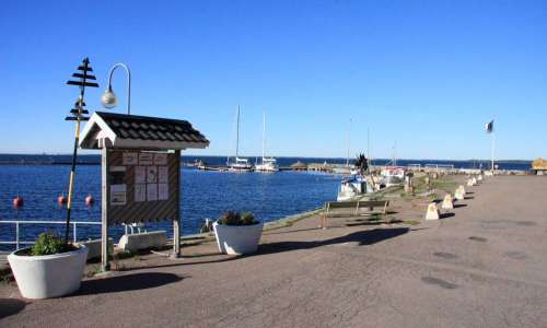 Foto: Stefan Svenaeus