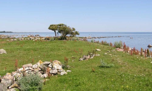 Foto: Stefan Svenaeus