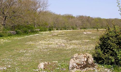 Foto: Stefan Svenaeus 2005