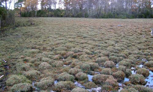 Foto: Stefan Svenaeus