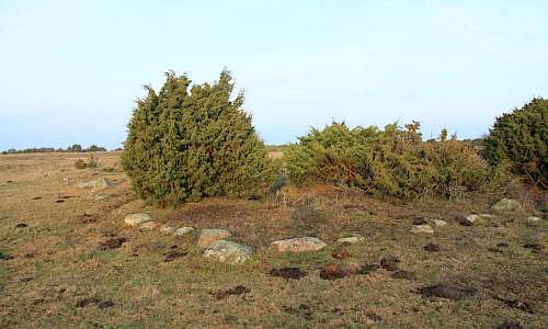 Foto: Stefan Svenaeus