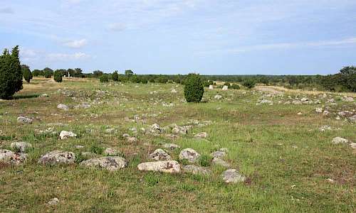 Foto: Stefan Svenaeus