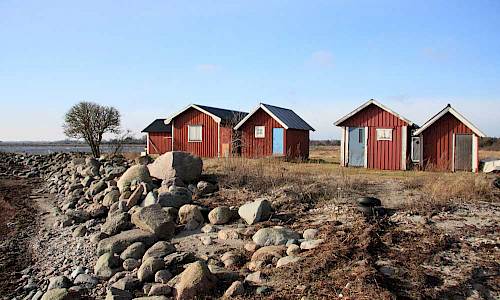 Foto: Stefan Svenaeus