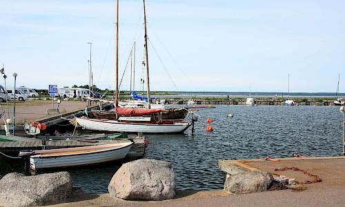 Foto: Stefan Svenaeus 2014