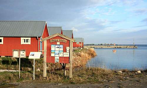 Foto: Stefan Svenaeus