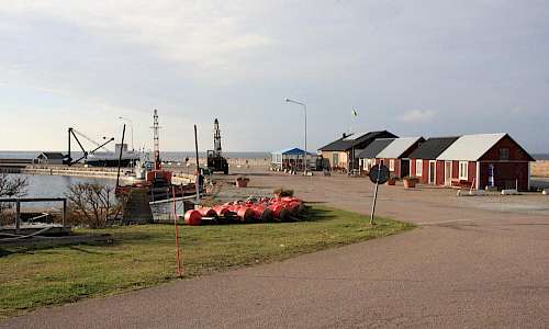 Foto: Stefan Svenaeus