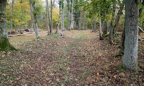 Det största långhuset drygt 50 m långt Foto: Stefan Svenaeus 2019