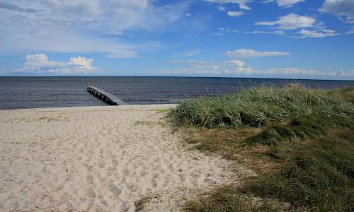2013 Foto: Stefan Svenaeus