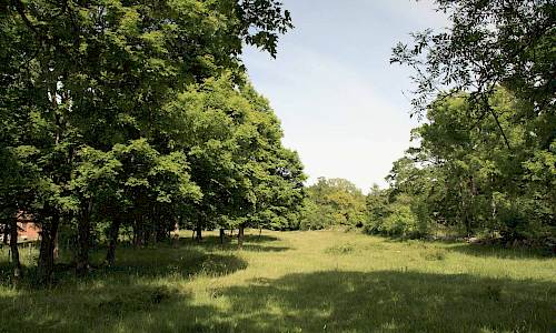 Foto: Stefan Svenaeus 2014