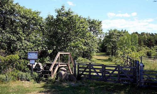 Foto: Stefan Svenaeus 2014