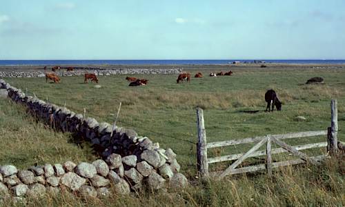 Fotograf: Anita Heimdahl