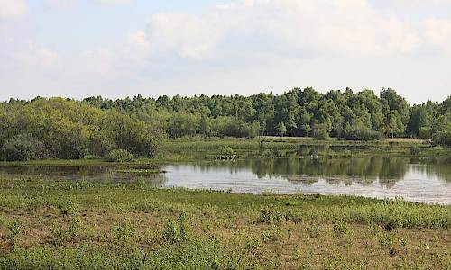 Foto: Stefan Svenaeus