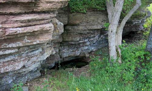 Foto: Stefan Svenaeus