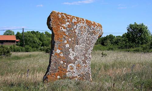 Foto: Stefan Svenaeus 2014
