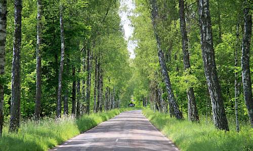 Foto: Stefan Svenaeus 2014