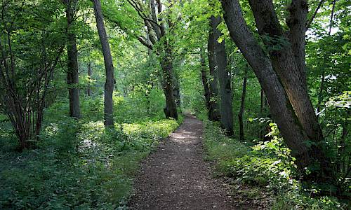 Vandringsled i Borgehage på Öland. Foto Stefan Svenaeus.
