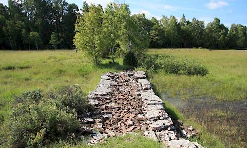 Foto: Stefan Svenaeus