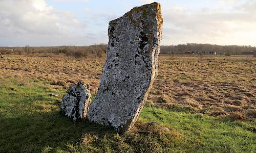 Foto: Stefan Svenaeus 2023