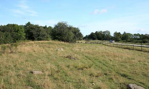 Foto: Stefan Svenaeus