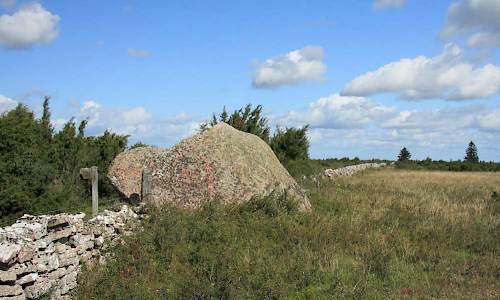 Foto: Stefan Svenaeus