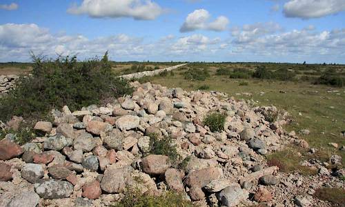Foto: Stefan Svenaeus 2014