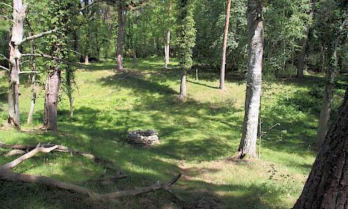 Foto: Stefan Svenaeus 2014