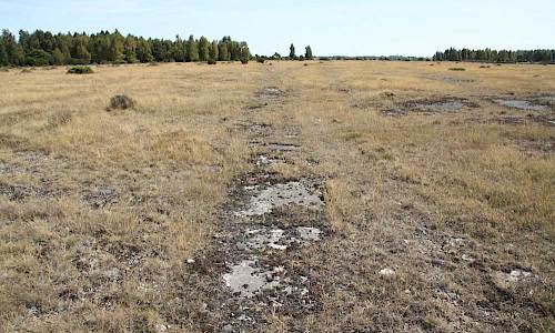 Gammal väg mellan Kvinnsgröta och Tingstenen. Foto: Stefan Svenaeus
