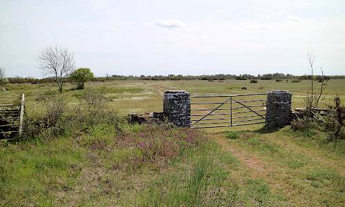Grinden ut mot alvaret Foto: Stefan Svenaeus 2019